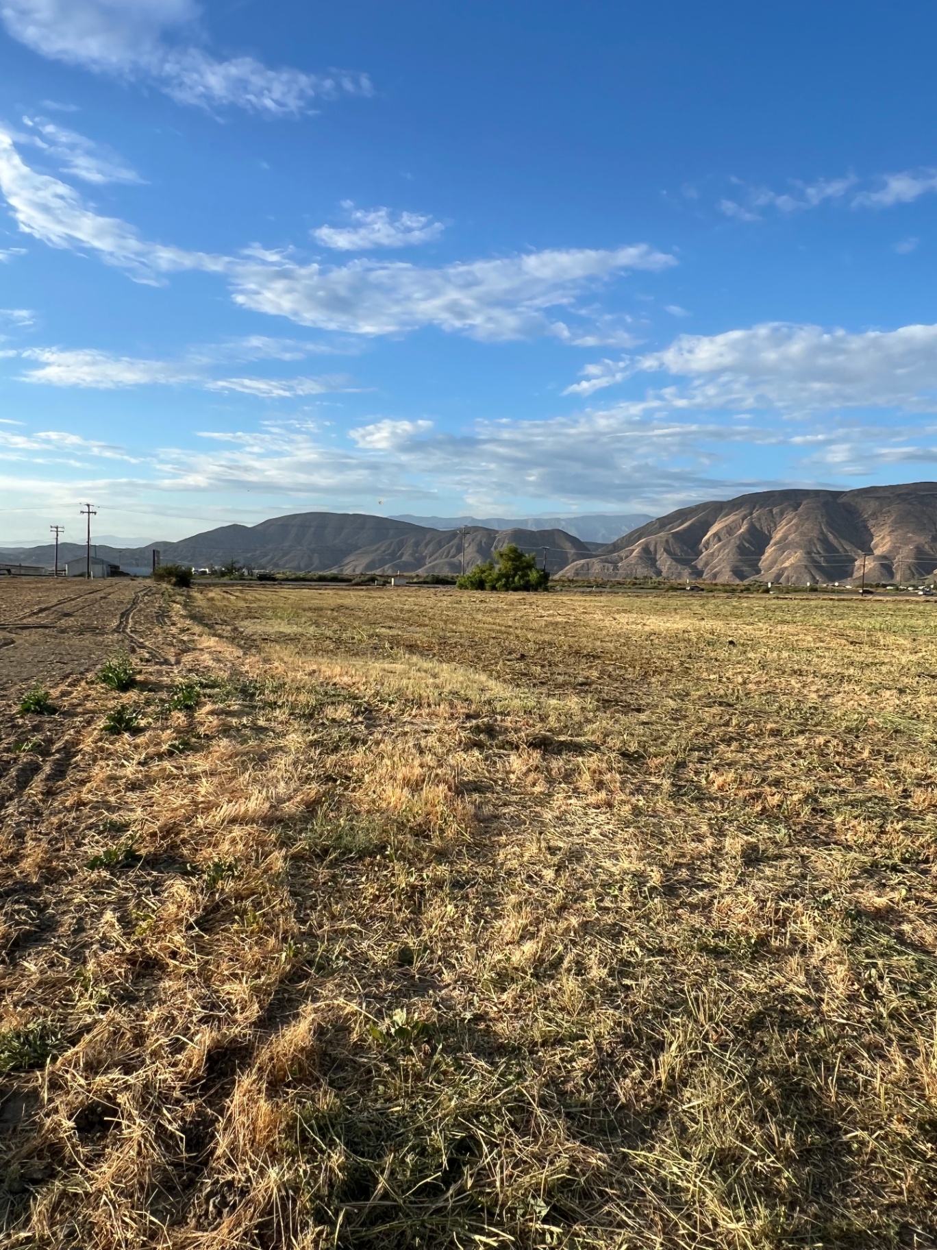 After — same field fully cleared to bare ground with mountains in the background