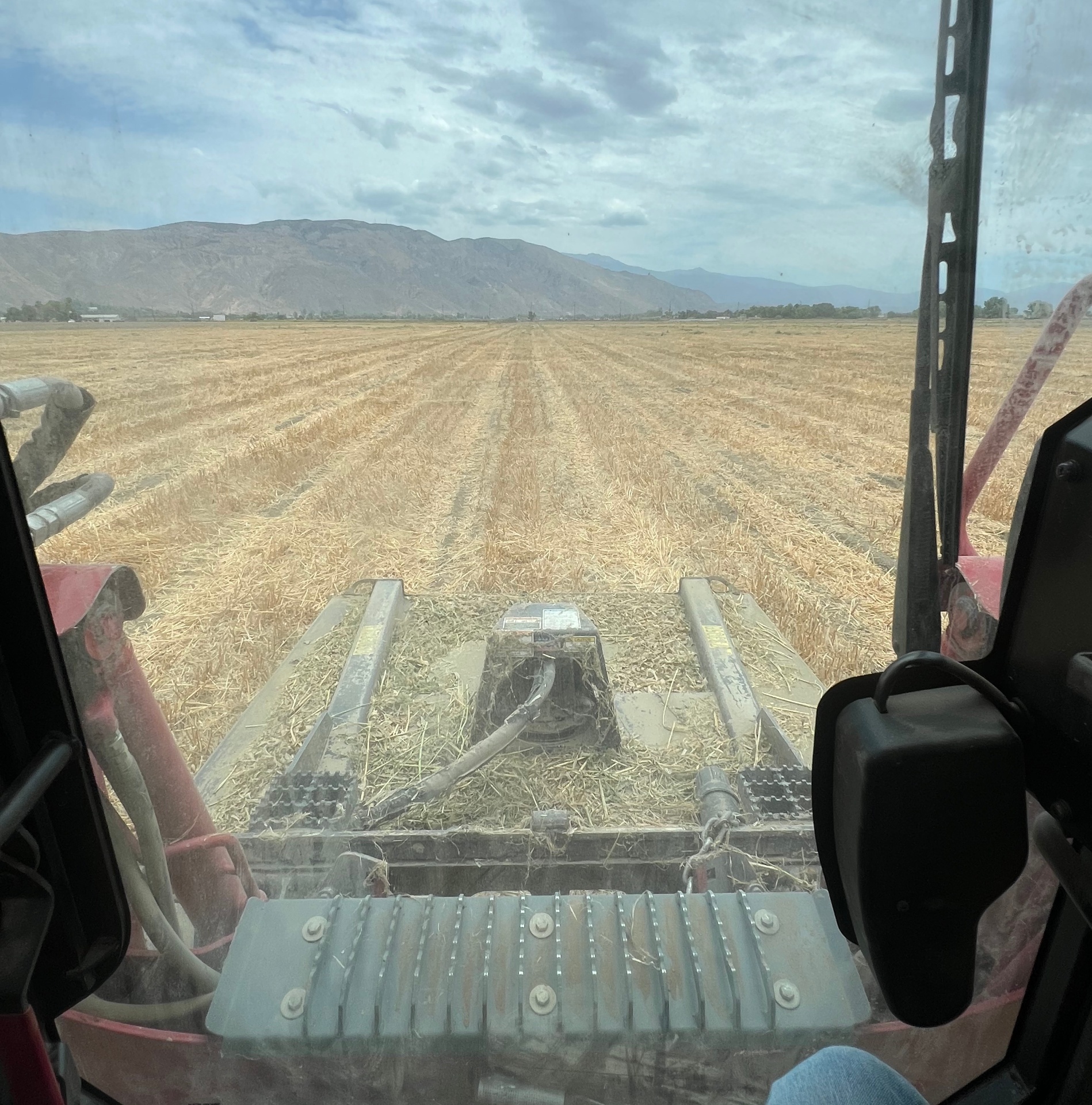 View from the cab clearing over 50 acres of dry brush.
