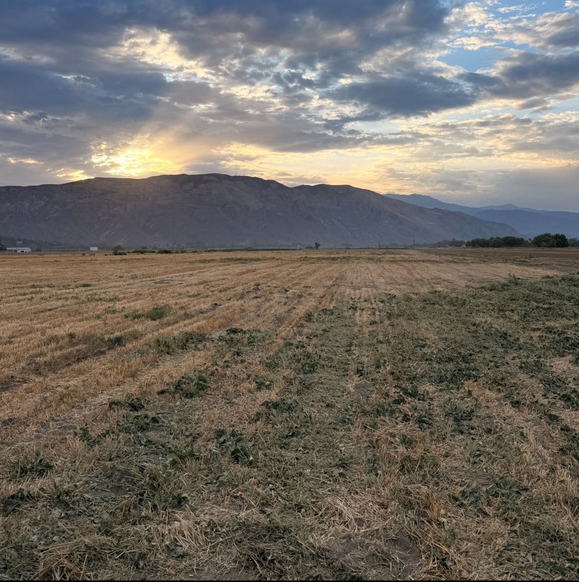After — same 60-acre field fully cleared and mowed at sunset